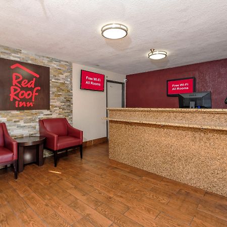 Red Roof Inn Jacksonville - Cruise Port Eksteriør billede